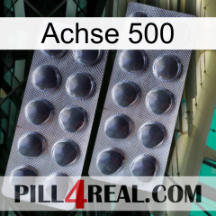 Axcil 500 31